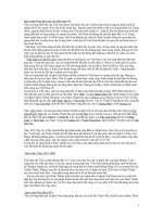 quá trình nam tien của các triều đại Việt Nam