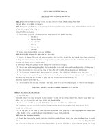 Mẫu Quy chế tài chính Công ty