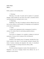 The differences between English and Vietnamese