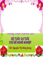 ĐO NHIỀU ĐỐI TƯỢNG BẰNG 1 THƯỚC ĐO( CHỦ ĐỀ NGHỀ NGHIỆP)