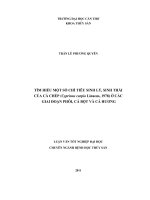 Tìm hiểu một số chỉ tiêu sinh lý, sinh thái của cá chép (cyprinus carpio linaeus) giai đoạn phôi, cá bột và cá hương