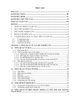 Đánh giá rủi ro hàm lượng kim loại nặng (pb, cd, as, zn) trong rau muống ở TP  HCM đến sức khỏe con người 