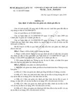 Mẫu báo cáo giám sát, đánh giá đầu tư