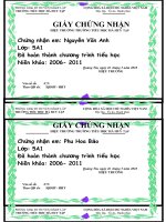 MẪU GIẤY CHỨNG NHẬN HTCTTH