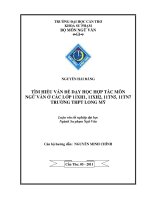 Tìm hiểu vấn đề dạy học hợp tác môn ngữ văn ở các lớp 11XH1, 11XH2, 11TN5, 11TN7 trường THPT long mỹ