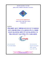 Tìm hiểu quy trình sản xuất, khảo sát ảnh hưởng của thời gian mạ băng, kích cỡ mẫu cá  đến tỷ lệ mạ băng cá tra fillet t