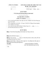 Quyết định của Đại hội đồng cổ đông