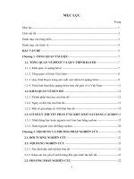 Nghiên cứu thu hồi sắt từ bã thải bùn đỏ 