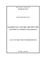 Luận văn thạc sĩ tạo động lực làm việc cho nhân viên tại công ty cổ phần vinaconex 25