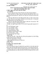 bao cao chuyen mon ki 2 va ca nam