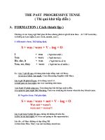 the past progressive tense