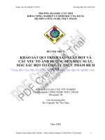 Khảo sát qui trình sản xuất bột và các yếu tố ảnh hưởng đến hiệu suất, màu sắc bột ở công ty thực phẩm bích chi