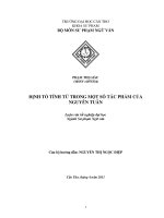 Định tố tính từ trong một số tác phẩm của nguyễn tuân