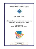 Mô hình hóa quá trình truyền nhiệt trong quá trình tiệt trùng thực phẩm