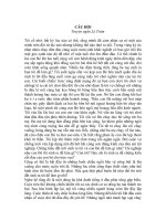 truyen toi sinh ra de lam gi(le tram)