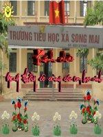 phong tranh ngo doc khi o nha
