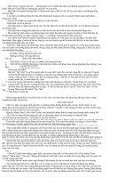 Gợi ý giải môn văn THPT 2011