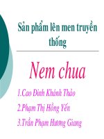 sản xuất nem chua