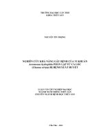 Nghiên cứu khả năng gây bệnh của vi khuẩn aeromonas  hydrophila phân lập từ cá lóc (channa striata) bị bệnh xuất huyết