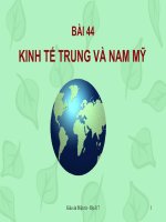 Địa lí 7   Bài 44   Kinh tế Trung và Nam Mỹ