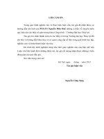 Nghiên cứu đề xuất quy trình quản lý nhằm nâng cao chất lượng cọc khoan nhồi ứng dụng cho công trình times city 