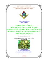 Ảnh hưởng của các điều kiện xử lý sau thu hoạch (ozone, nước vôi bão hòa và màng CMC) đến chất lượng cam xoàn trong các