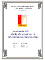 bộ điều tốc điện tử esc và  điều khiển động cơ brushless dc