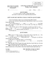 Mẫu số 17/KTTT: Quyết định về việc xử lý về thuế, xử phạt vi phạm hành chính qua thanh tra (kiểm tra) việc chấp hành pháp luật thuế