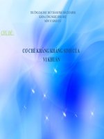 hợp chất kháng kháng sinh của vi khuẩn