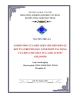 Ảnh hưởng của điều kiện chế biến đến sự kết tủa protein đậu nành dưới tác dụng của hóa chất kết tủa acid acetic (CH3COOH)