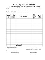 Bảng dự toán chi tiêu