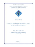 Xây dựng quy trình chế biến sản phẩm dưa bồn bồn muối chua