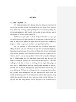 Lỗi chính tả của học sinh tiểu học tại thành phố hồ chí minh 