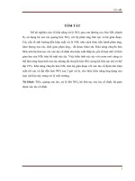 Nghiên cứu khả năng xử lý NH3 bằng hệ xúc tác quang hóa tio2 