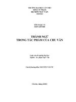 Thành ngữ trong tác phẩm của chu văn
