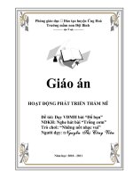 do ban cuc hay cua NguyenthiVien