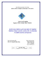 Bước đầu phân lập nấm men từ khóm trồng ở hậu giang (vị thanh, long mỹ) và kiên giang (gò quao)