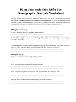 Bảng phân tích nhân khẩu học