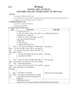 Tuan 9 MT thuong thuc mi thuat GIOI THIEU SO LUOC VE DIEU KHAC CO VN