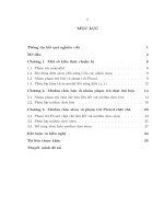 Mođun chéo aben và phạm trù picard chặt chẽ 