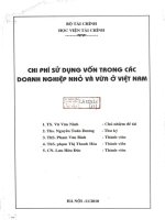 chi phí sử dụng vốn trong các doanh nghiệp nhỏ và vừa ở việt nam