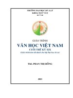 Giáo trình Văn học Việt Nam cuối TK XIX