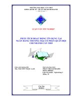 Phân tích hoạt động tín dụng tại ngân hàng thương mại cổ phần quân đội chi nhánh cần thơ