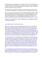 Chuyển tiép: CÂU CHUYỆN BI KỊCH TÌNH YÊU