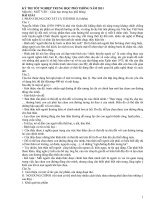 GIẢI CHI TIẾT MÔN VĂN TN THPT 2011