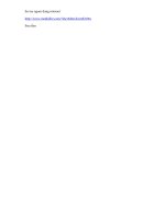 So tay nguoi dung internet