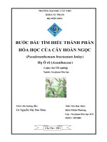 Bước đầu tìm hiểu thành phần hóa học của cây hoàn ngọc (pseuderanthemum bracteatum imlay)  họ ô rô (acanthaceae)