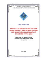Đánh giá các biến đổi hóa lý của khóm (ananas comosus l  merr) trồng ở gò quao, kiên giang thông qua bảng màu và các mô