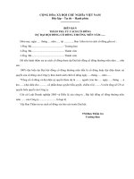 Mẫu biên bản kiểm tra tư cách cổ đông