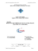 Khảo sát quy trình sản xuất cá tra fillet tại công ty caseamex